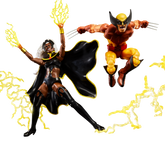Marvel Legends Series Wolverine and Storm