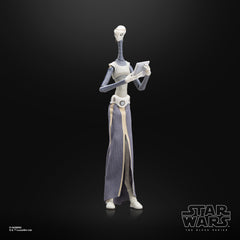 Star Wars The Black Series Taun We