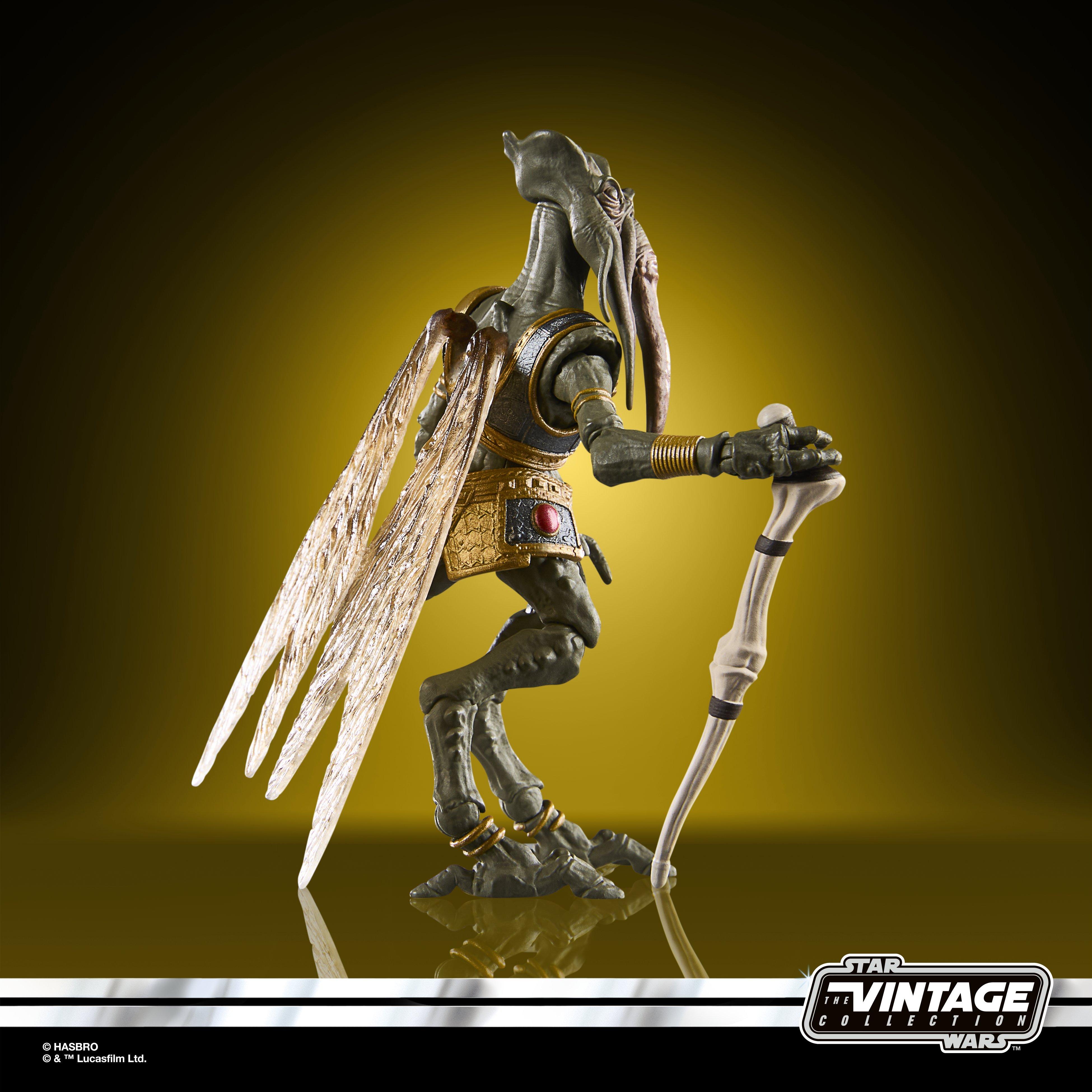 Star Wars The Vintage Collection Poggle the Lesser
