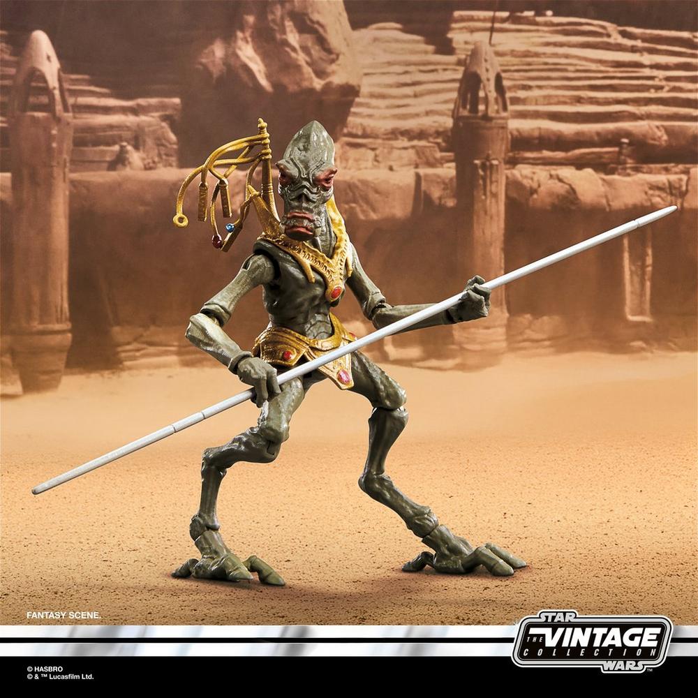 STAR WARS The Vintage Collection Orray & Geonosian Picador