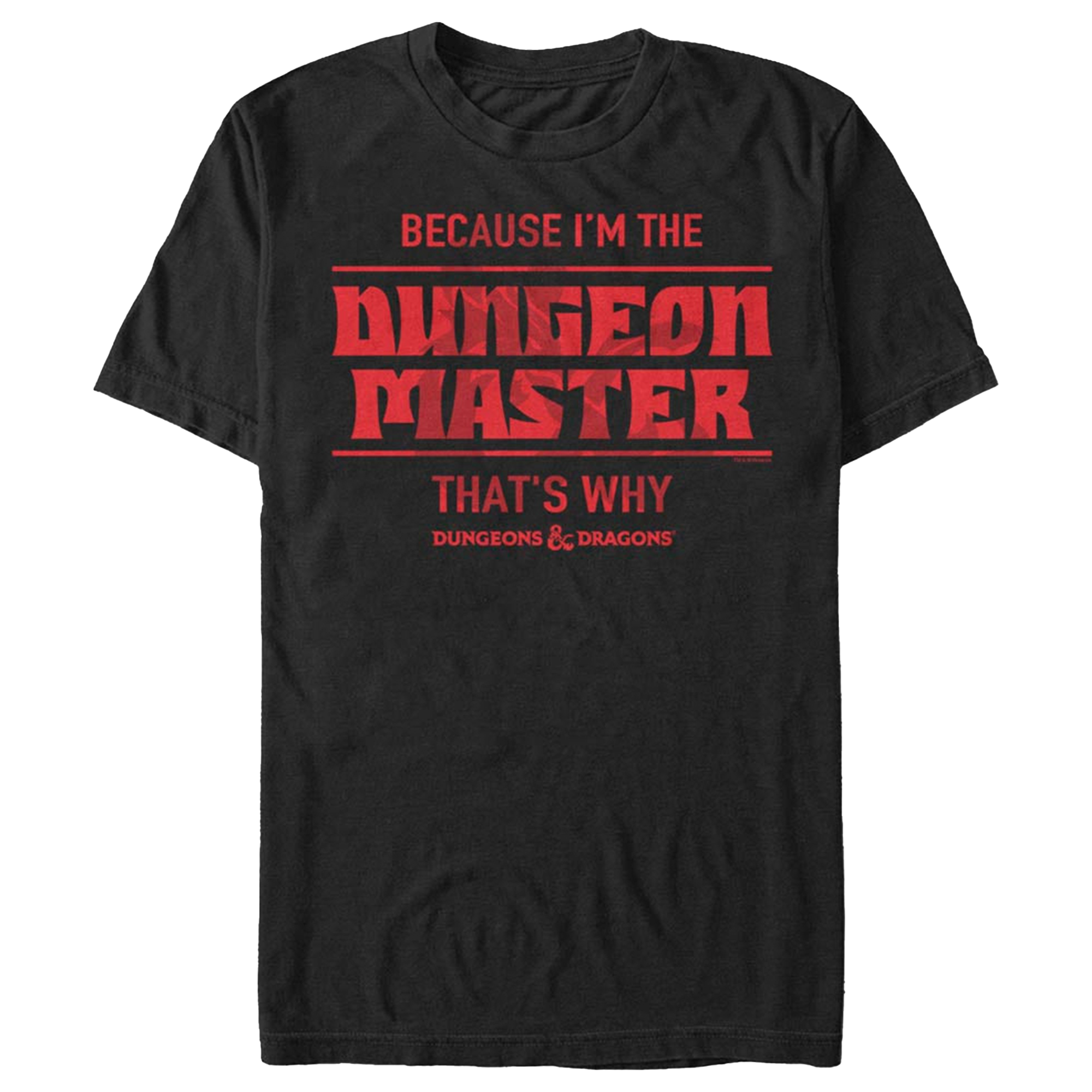 Dungeons & Dragons DM Men's T-Shirt