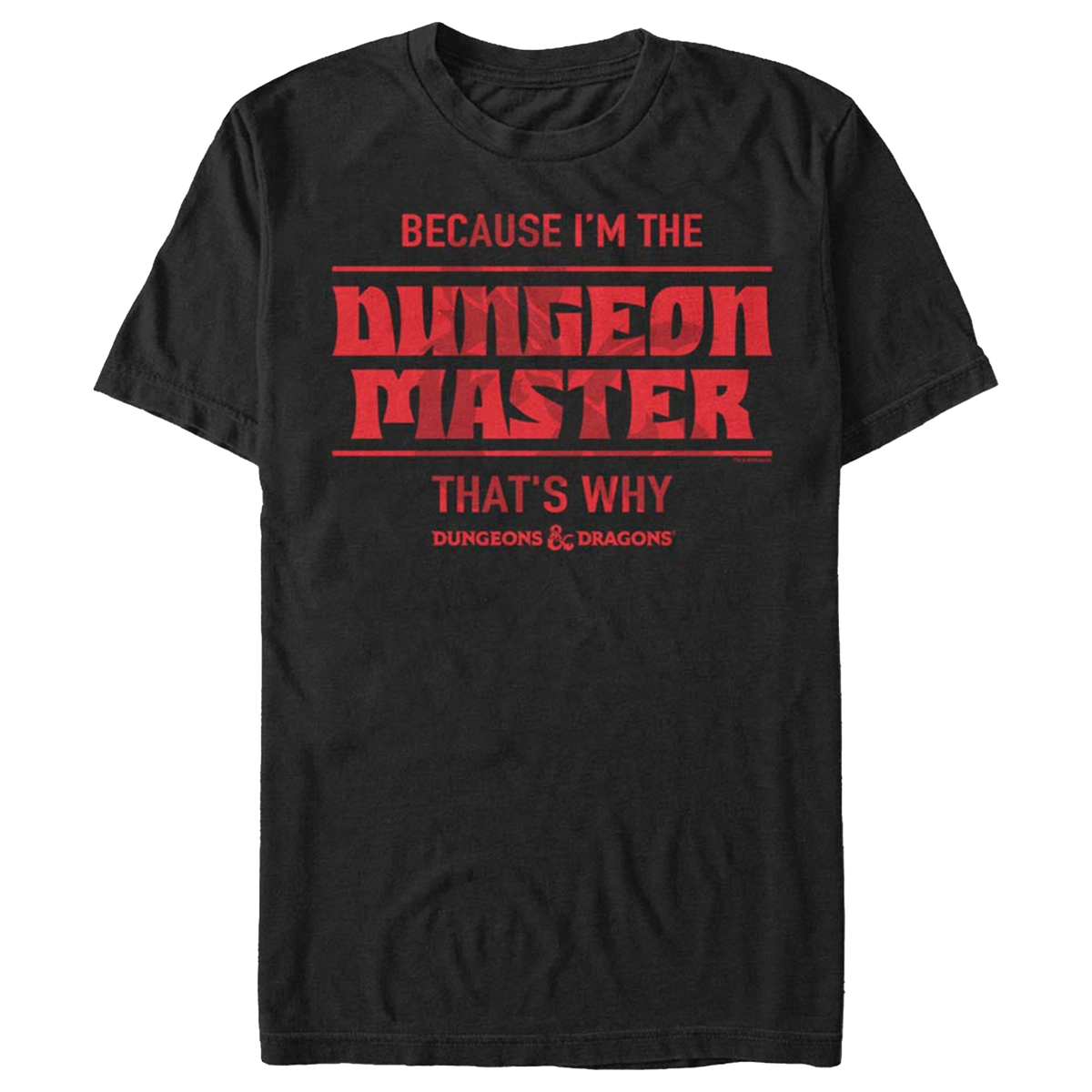 Dungeons & Dragons DM Men's T-Shirt